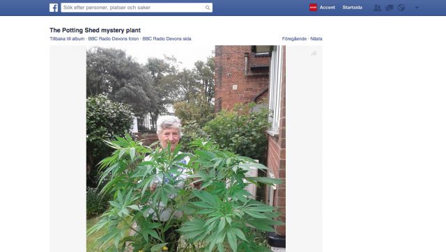 Foto: Skärmdump av BBC Radio Devons facebooksida