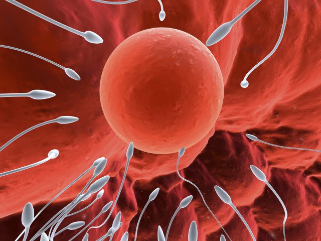 Foto: iStock