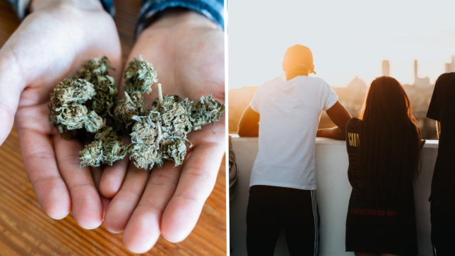 Unga och cannabis