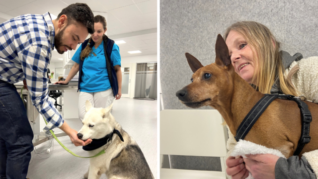 Veterinärklinik erbjuder gratis vård för ägare i ekonomisk utsatthet. Foto: Maria Zaitzewsky Rundgren