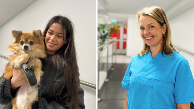 Veterinärkliniken Awake på Södermalm i Stockholm erbjuder gratis veterinärvård. Foto: Maria Zaitzewsky Rundgren