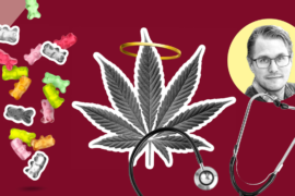 Cannabis i gränslandet. Peter Moilanen på narkotikapolitiskt center.
