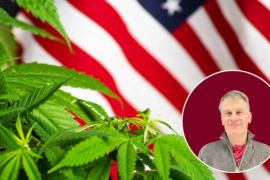 USA:s cannabisvåg avmattas, berättar Pelle Olsson. Foto: Getty samt privat.