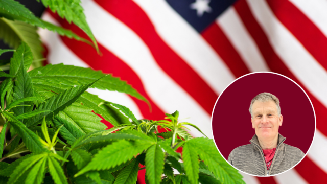 USA:s cannabisvåg avmattas, berättar Pelle Olsson. Foto: Getty samt privat.