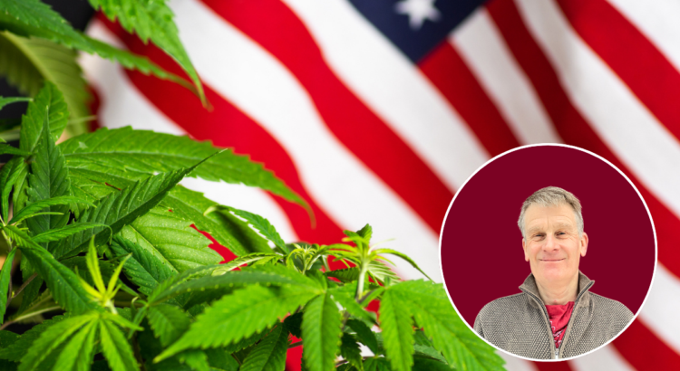 USA:s cannabisvåg avmattas, berättar Pelle Olsson. Foto: Getty samt privat.